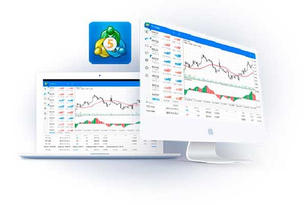 杨斌：好奇心而不是好胜心 更值得基金会来鼓励